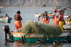 Fisherman working in Chorillo harbour, Lima, Peru.