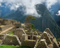 A photo of the residential buildings at Machu Picchu, Peru.