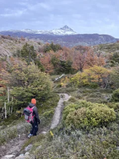 A female hiker, dressed in black with a pink backpack and orange beanie, is walking along a narrow dirt track, She is surrounded by green and brown trees and mountains can be seen in the background.