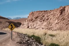 A yellow road sign indicates a winding road ahead. Pampas grass covers the bottom of the adjacent canyon and rocky cliffs run the length of it.