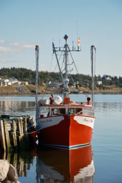 A small red and white boat is docked in a quiet harbour.