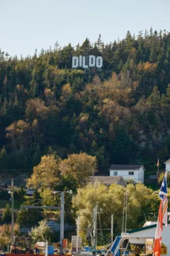 A sign reading Dildo sits on a hillside covered with trees. It is in the style of the Hollywood sign.