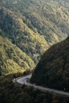 A road winds around forest covered mountains.