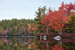 Trees with colourful autumn leaves are reflected in a clear lake.