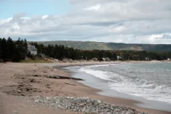 A long stretch of sandy beach. It's backed by forest and several white houses can be seen through the trees.