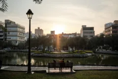 Lagoon in Bosque El Olivar, San Isidro, Lima, Peru.