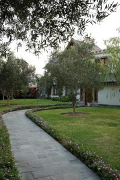 A house with a garden in San Isidro, Lima.