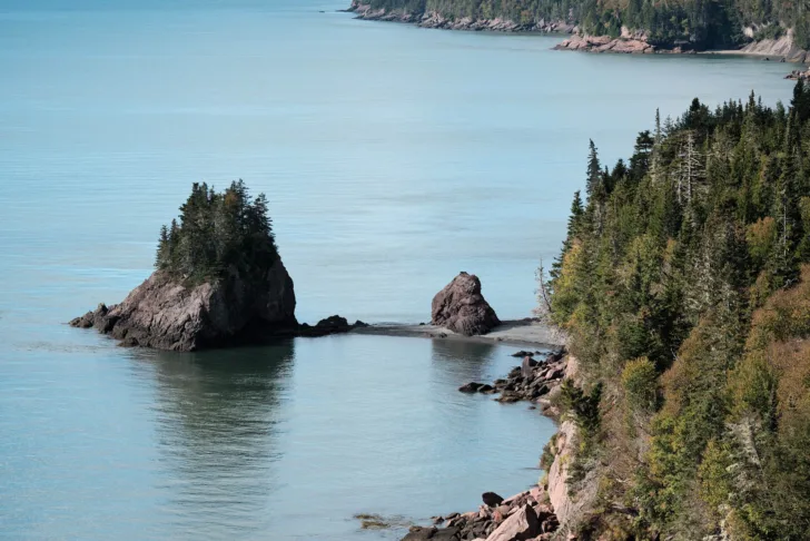 Rugged tree-covered coastline in the Bay of Fundy, New Brunswick.