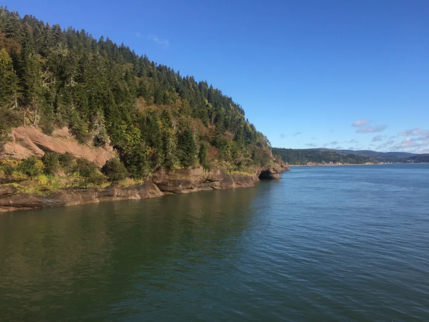 Tree covered shoreline and a small cave in Bay of Fundy, New Brunswick.