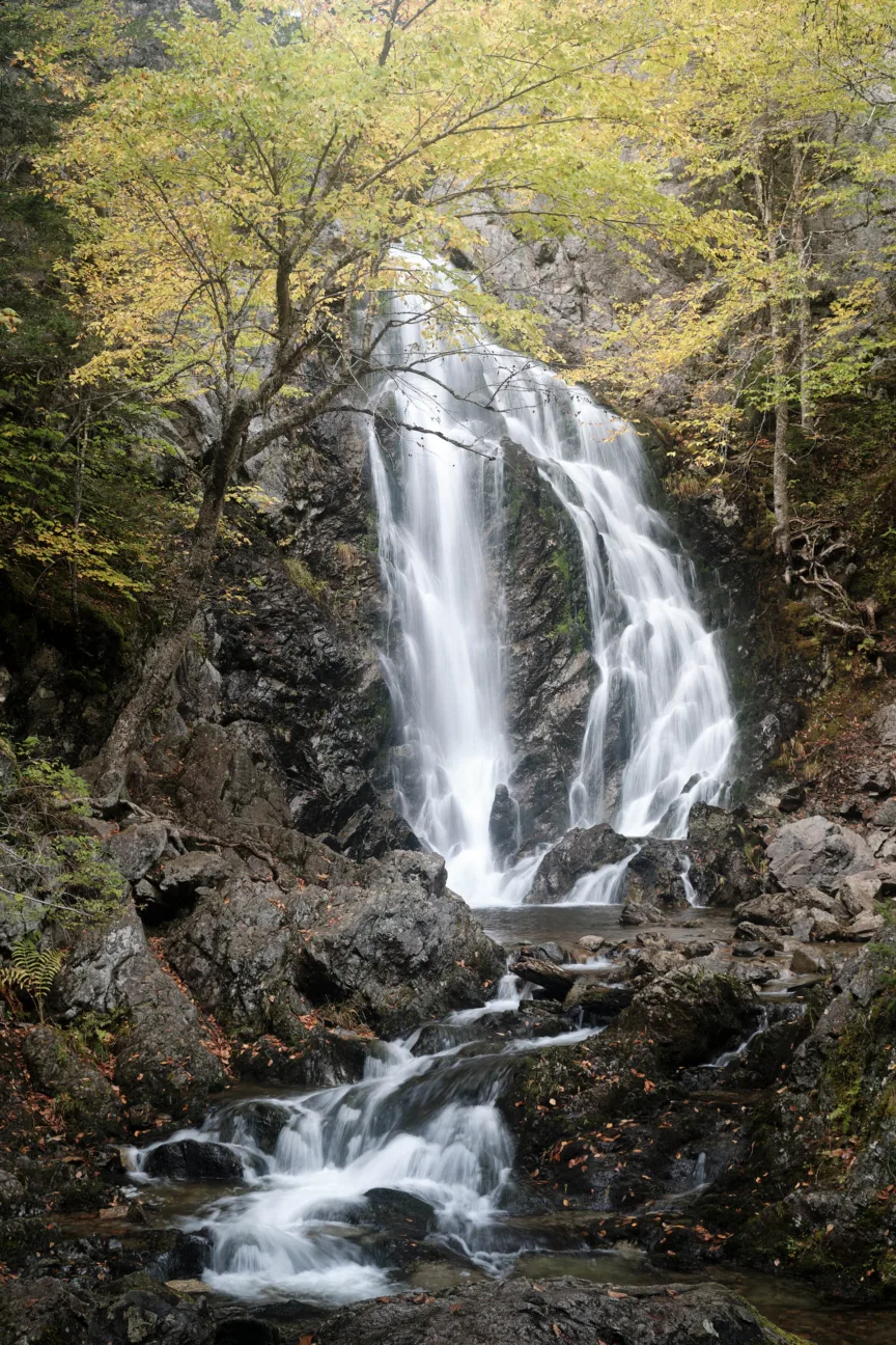 A waterfall cascading down rocks into a small stream. Trees covered in light green leaves frame it.