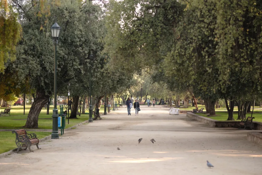 Tree-lined pathway at Parque Araucano, Santiago, Chile.