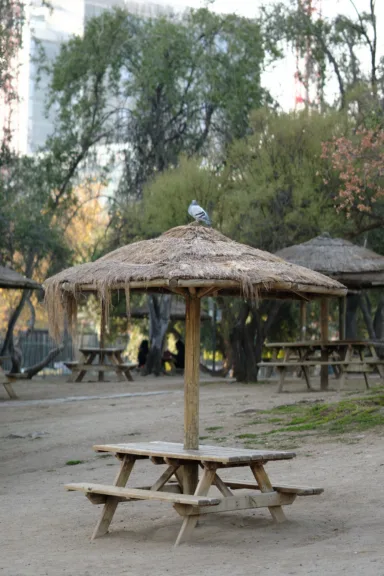 A wooden picnic table with an umbrella at Parque Araucano, Santiago, Chile.