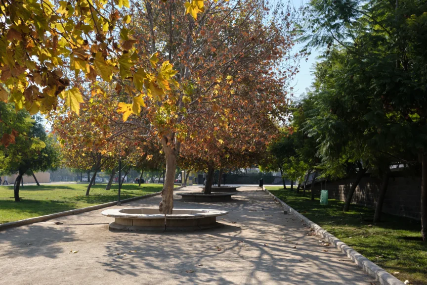 Tree-lined walkway in Parque Bicentenario, Santiago, Chile.