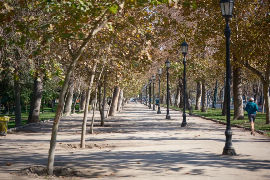 Tree-lined pathways in Parque Forestal, Santiago, Chile.