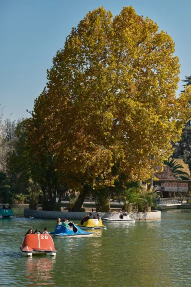 People riding paddle boats on a lagoon in Parque Quinta Normal, Santiago, Chile.