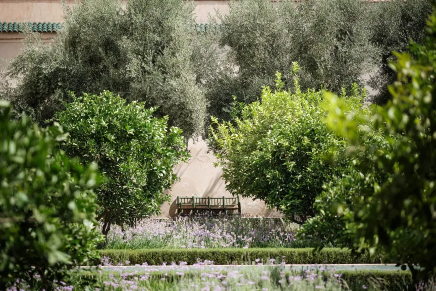 A garden full of wild flowers and trees. A wooden bench sits against the back wall.