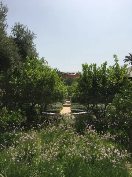 Metal, backless benches are placed along a pathway. Wildflowers and trees surround them.