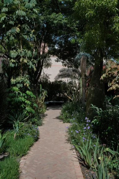 A brick path leads into some trees.