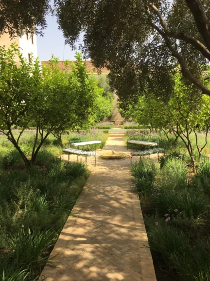 4 backless metal benches are positioned around a small fountain. A path runs through the middle of them and trees surround them.