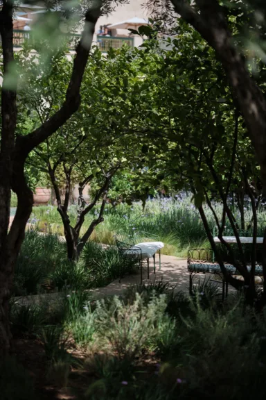 Metal benches sit on a pathway amongst some trees.