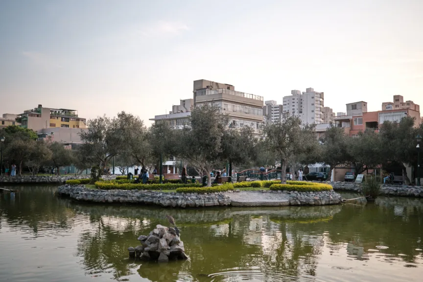 A pond in an old olive grove.