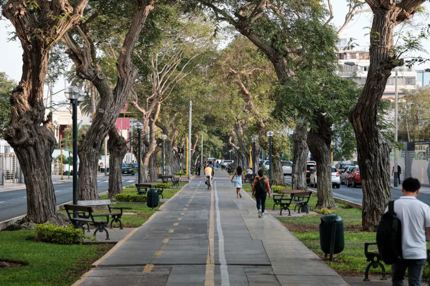 A shared bike and walking lane in Miraflores, Lima.